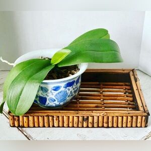 Vintage bamboo tray